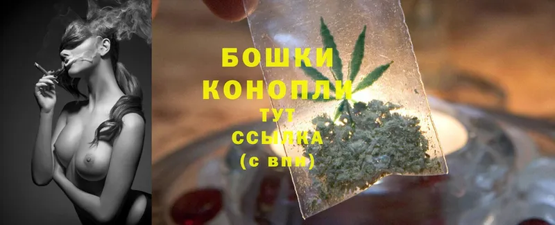 Бошки Шишки SATIVA & INDICA  продажа наркотиков  Хабаровск 